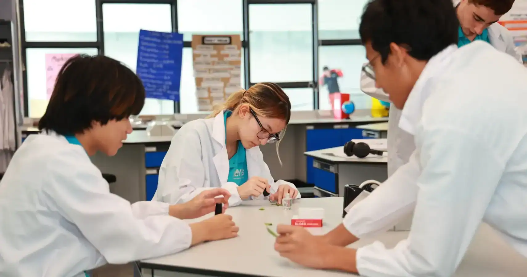 Science students conducting experiments in a modern classroom.