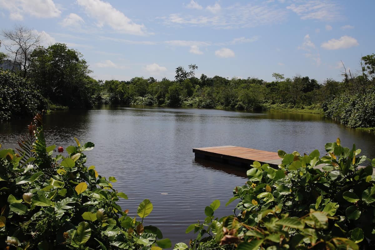 A lush river scene with dense greenery and a small wooden dock under a partly cloudy sky.