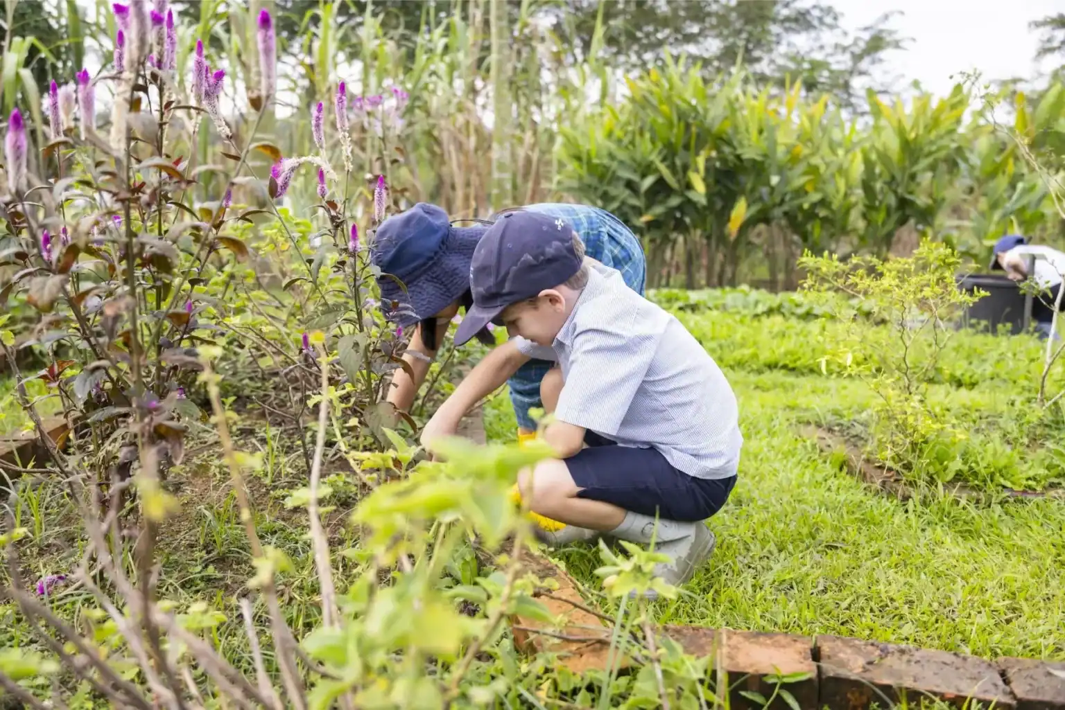 Children exploring a garden at a world school with lush greenery and plants.