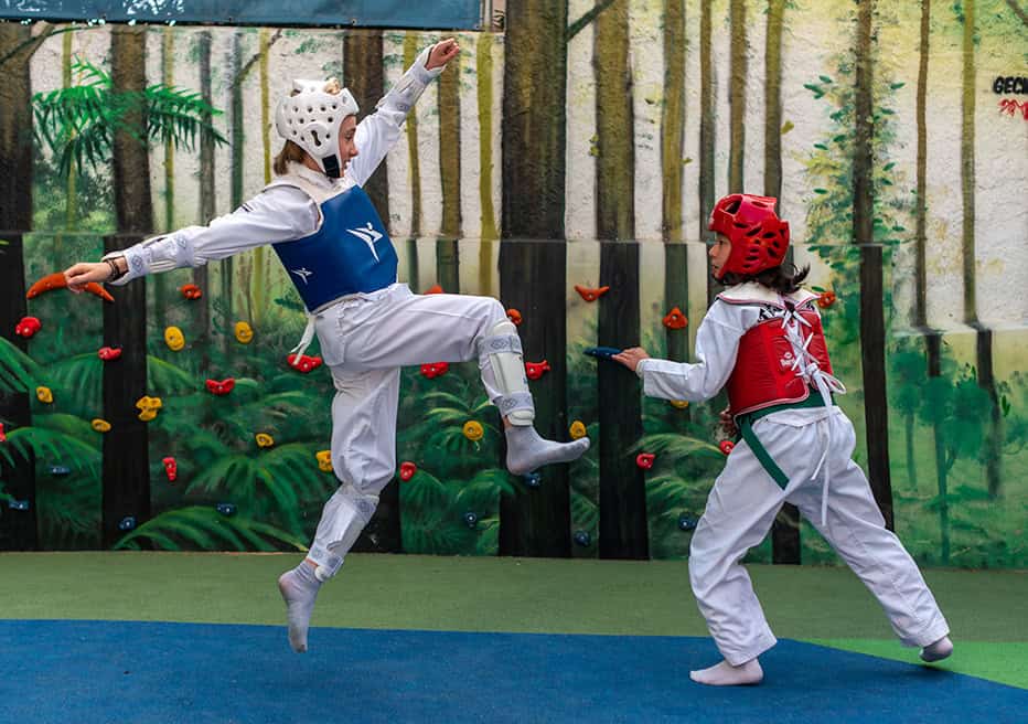 Kids engaging in taekwondo martial arts training at a school gym.
