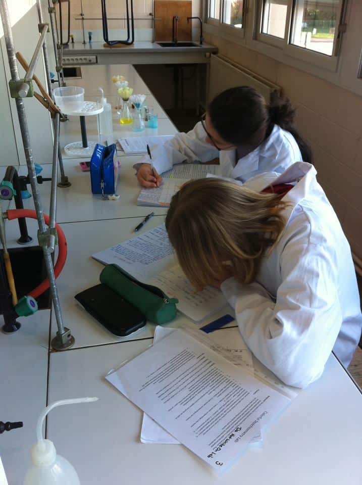 Focused students studying science in a classroom with lab equipment at a world-renowned school.