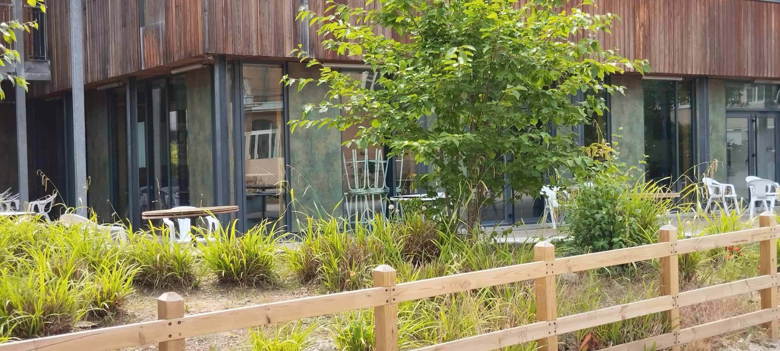 Modern eco-friendly school building surrounded by greenery and outdoor seating area.