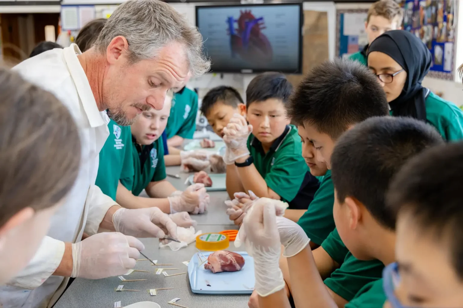 WSGallery-Takapuna-International-Normal-School-Extracurricular-5