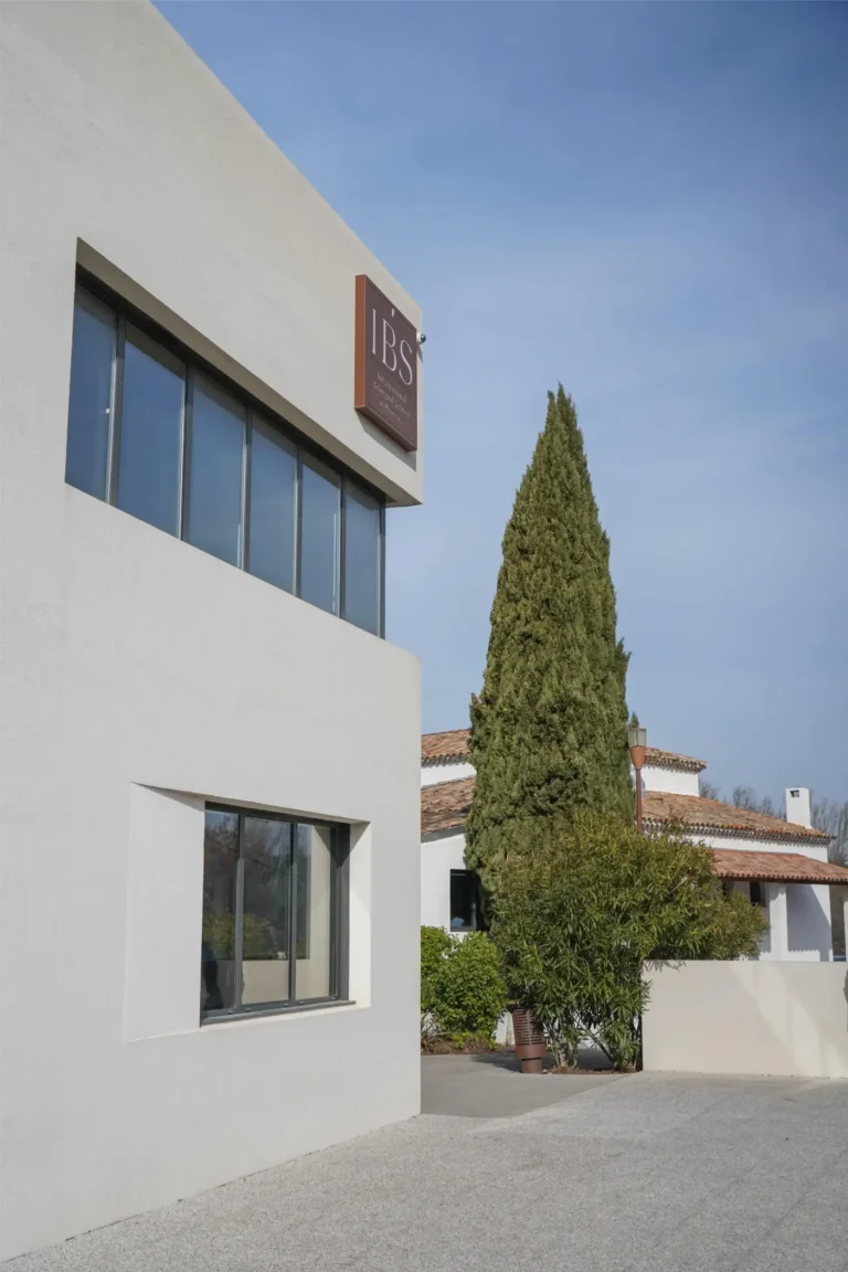 WSGallery-IBS of Provence-Overview-2